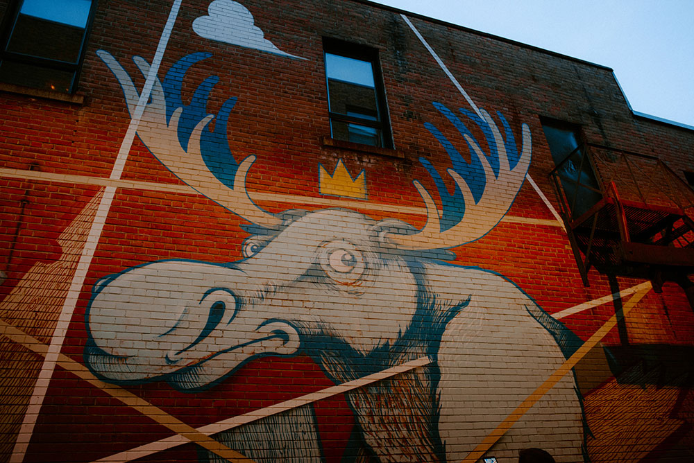 Moose Mural in Sudbury 