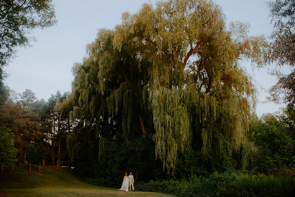 newlyweds walking under a willow tree at this Bayview Golf Wedding