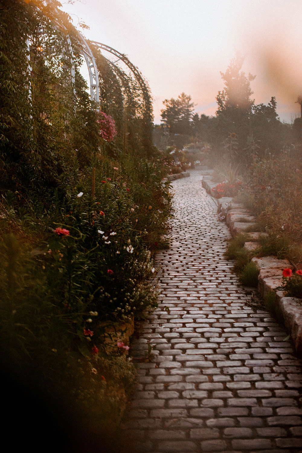 the florals cover every inch along the edges of the cobblestone path at the Catana Estate